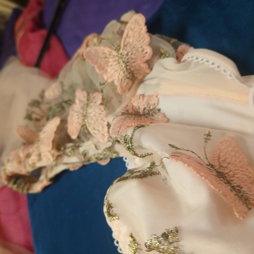 Elegant peach Butterfly Embroidered bra and panty set